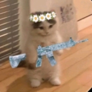Юлия Ахматова